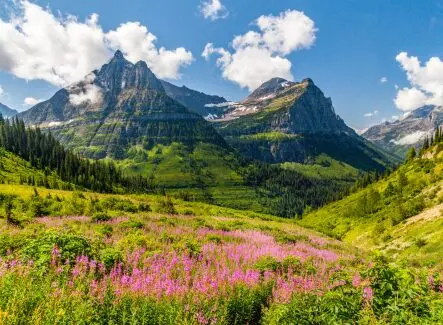 A view of Glacier National Park, which is referenced in an amicus brief filed by Pacifica on behalf of outdoor industry clients in Held v. State of Montana.